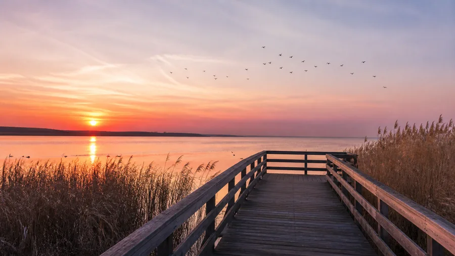 Ambiance romantique inspirée du lac du Der avec ponton, roselières, oiseaux et coucher de soleil pastel