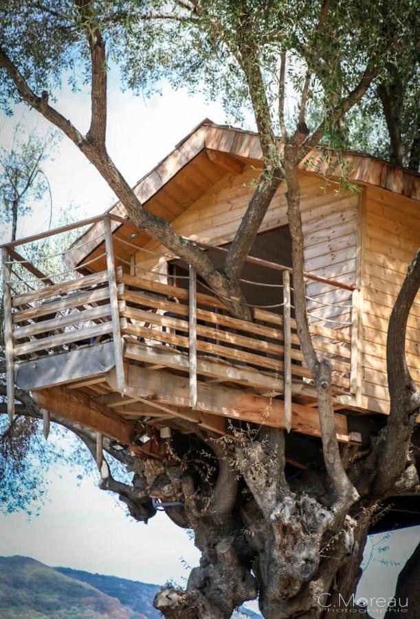 Cabane dans les arbres - Domaine de l'Ogliastru avec espace bien-être, Corse-du-Sud