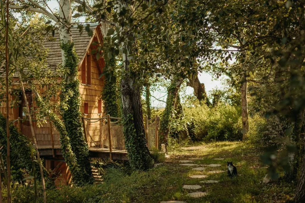 Cabane La Fontaine du Figuier, cabane dans les arbres avec espace bien-être en Auvergne-Rhône-Alpes