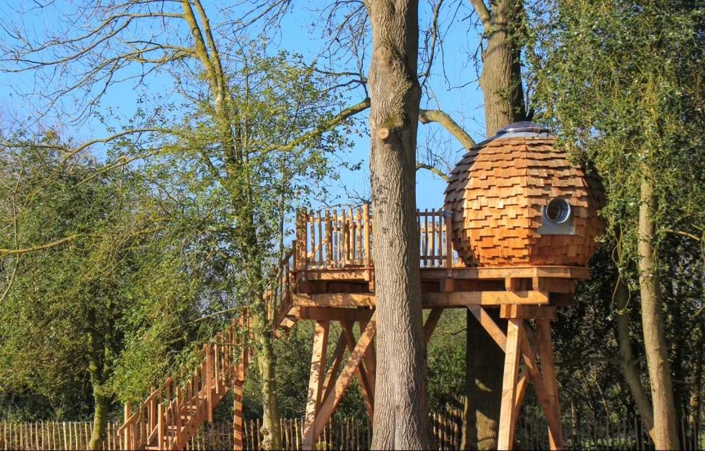 Cabane dans les arbres Cabane perchée sur pilotis dans le Nord avec terrasse