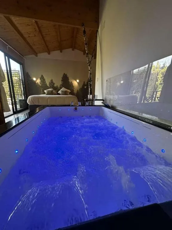 Domaine des Pins La cabane au bord de l’eau, gîte insolite avec espace bien-être dans le Grand Est
