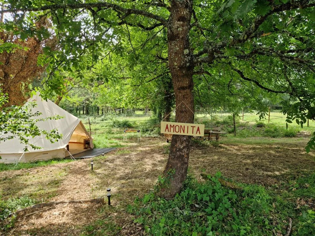 Expérience équestre et bain nordique privé en Nouvelle-Aquitaine