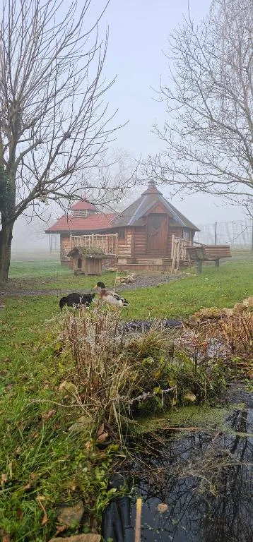 Nuit insolite, repas autour du feu piscine sauna jaccuzi, gîte insolite avec espace bien-être dans le Grand Est