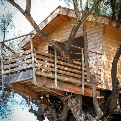 Cabane dans les arbres - Domaine de l'Ogliastru en Corse-du-Sud avec terrasse