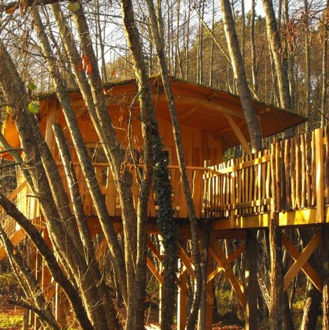 Cabane dans les arbres Cabane des cerfs dans le Lot-et-Garonne avec terrasse