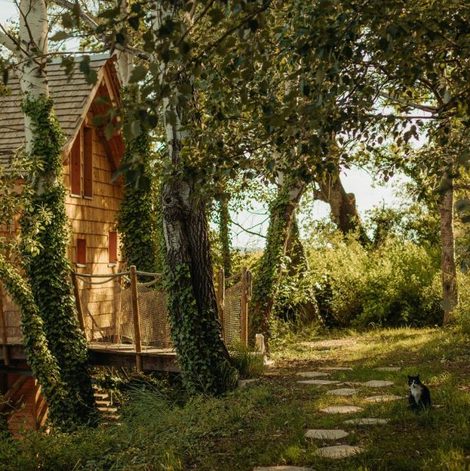 Cabane dans les arbres Cabane La Fontaine du Figuier dans la Drôme avec terrasse