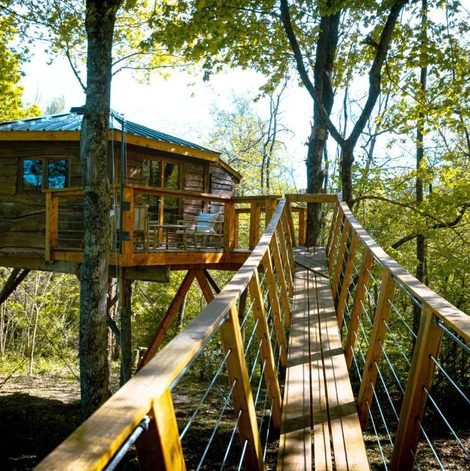 Cabane dans les arbres Cabane perchée dans le Tarn avec terrasse