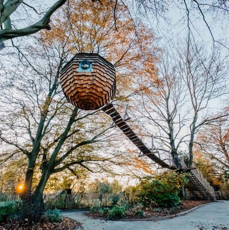 Lovnid Cabane suspendue dans le Nord avec terrasse