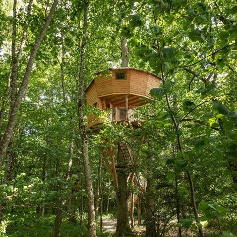 Cabane dans les arbres Cabanes de la Grande Noë dans l’Orne