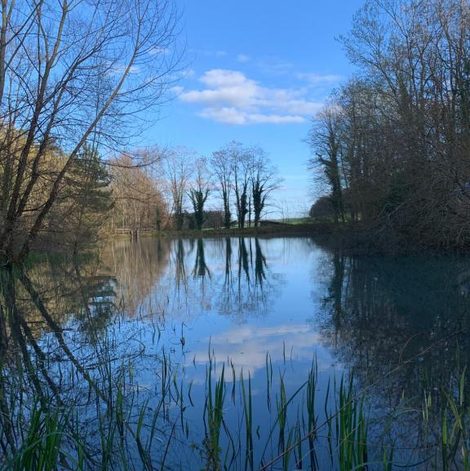 Bulle Domaine de l'étang du Tom et sa bulle en Haute-Marne avec terrasse