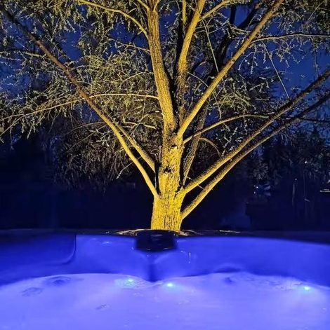 Gîte insolite Domaine des Pins À la belle étoile en Moselle avec spa privatif