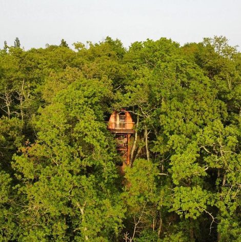 Cabane dans les arbres La cabane entre les cimes en Haute-Garonne avec terrasse