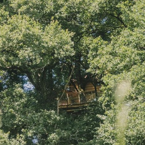 Cabane dans les arbres La Cabanoun, cabane perchée vue lac dans les Landes avec terrasse