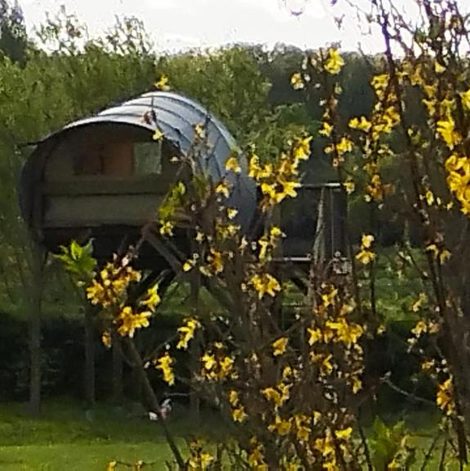 Tente La haut dans le Morbihan avec terrasse