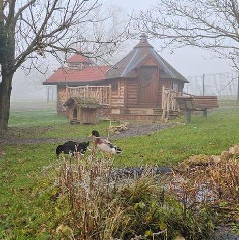 Gîte insolite Nuit insolite, repas autour du feu piscine sauna en Meurthe-et-Moselle