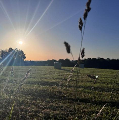 Tente Sunrise Tent en Corrèze avec vue dégagée