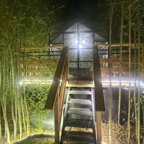 Cabane dans les arbres Tanabata logde dans l’Aude