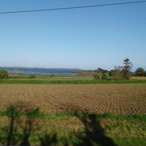 Tiny house sur la Presqu'île Sauvage dans les Côtes-d’Armor avec terrasse